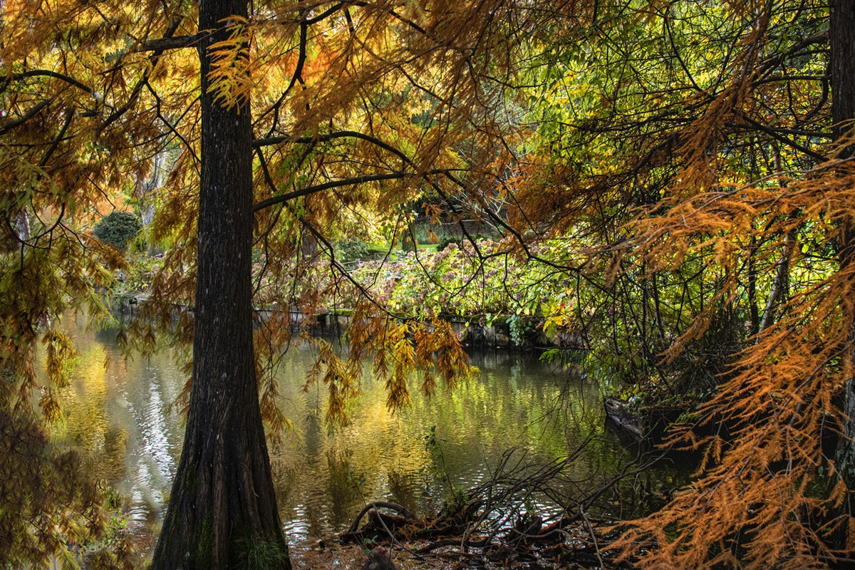 Atatürk Arboretumu