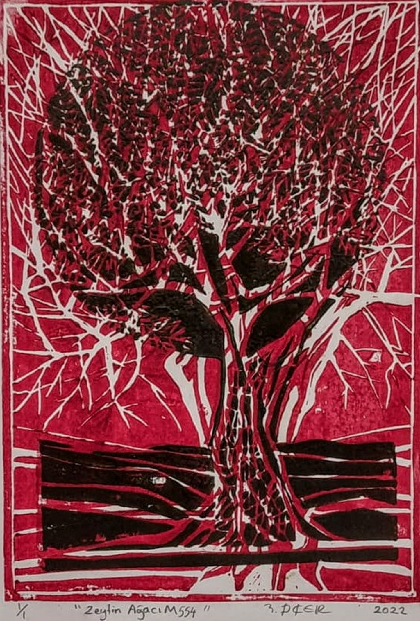 Zeytin AğacıM