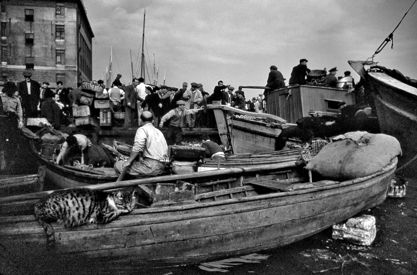 Karaköy Rıhtım 1953