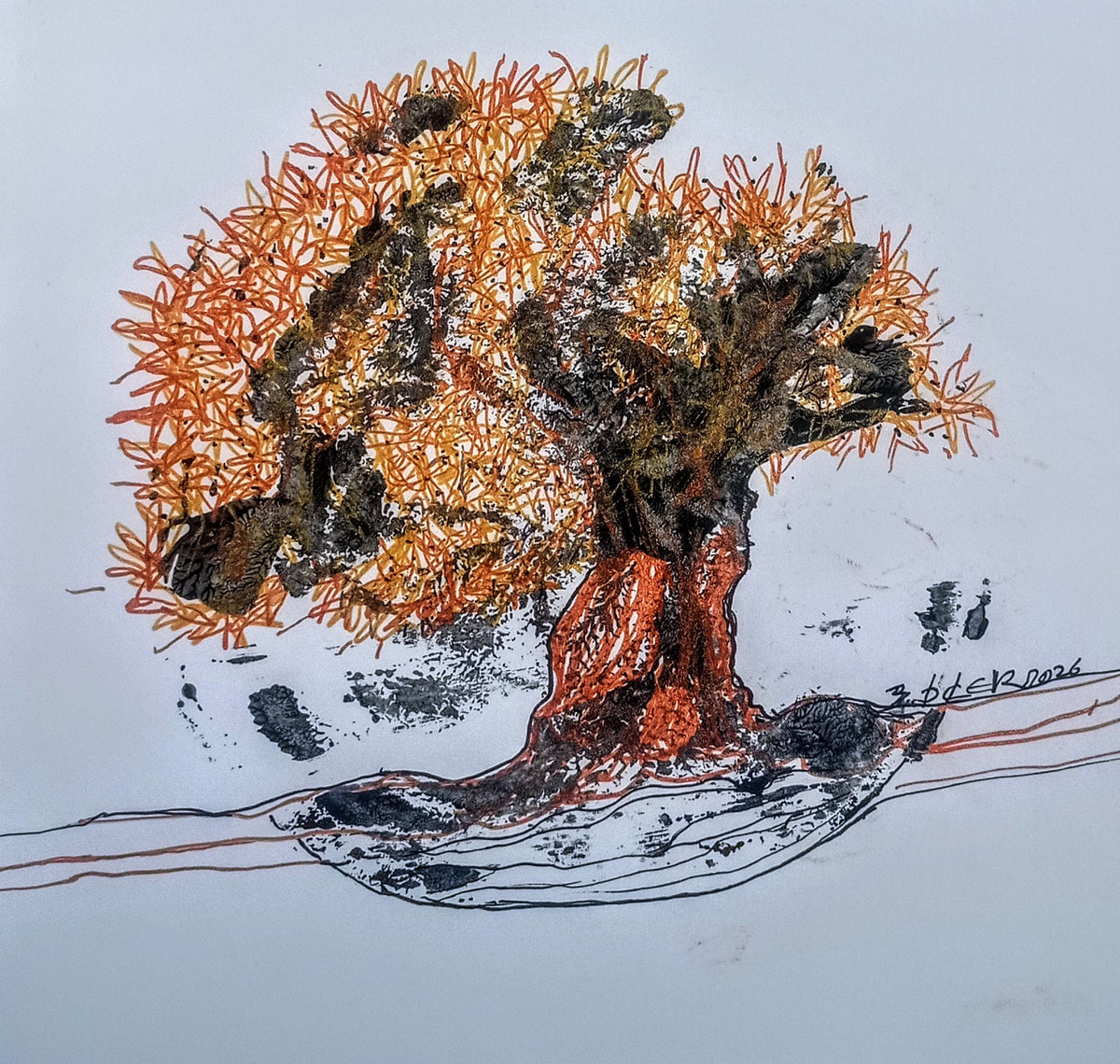 Zeytin AğacıM