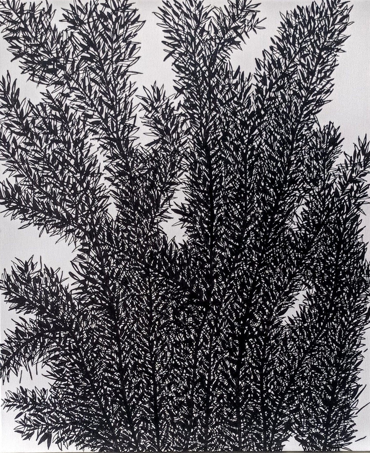 Zeytin AğacıM