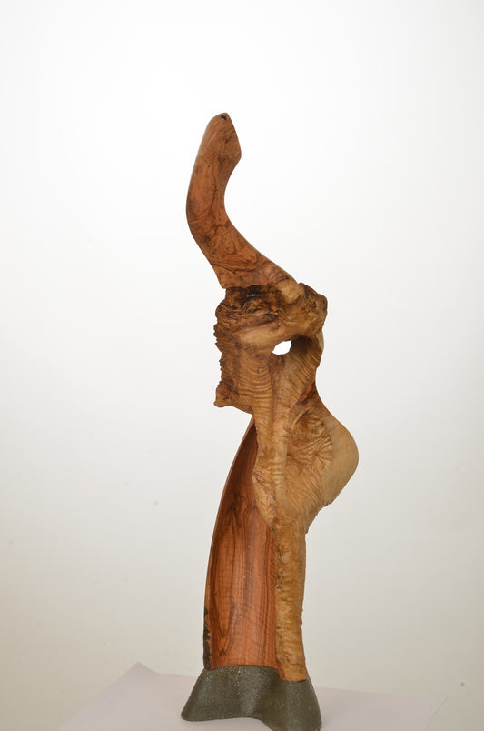Kavis / Seri 30