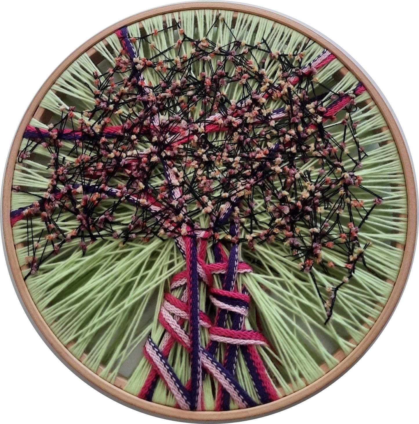 Zeytin AğacıM