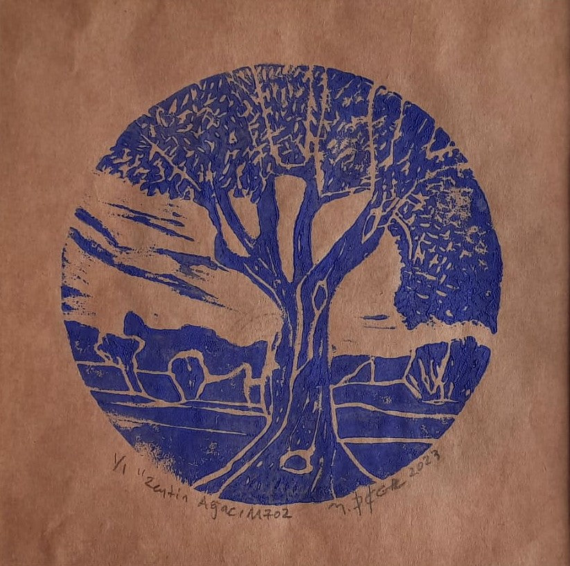 Zeytin AğacıM