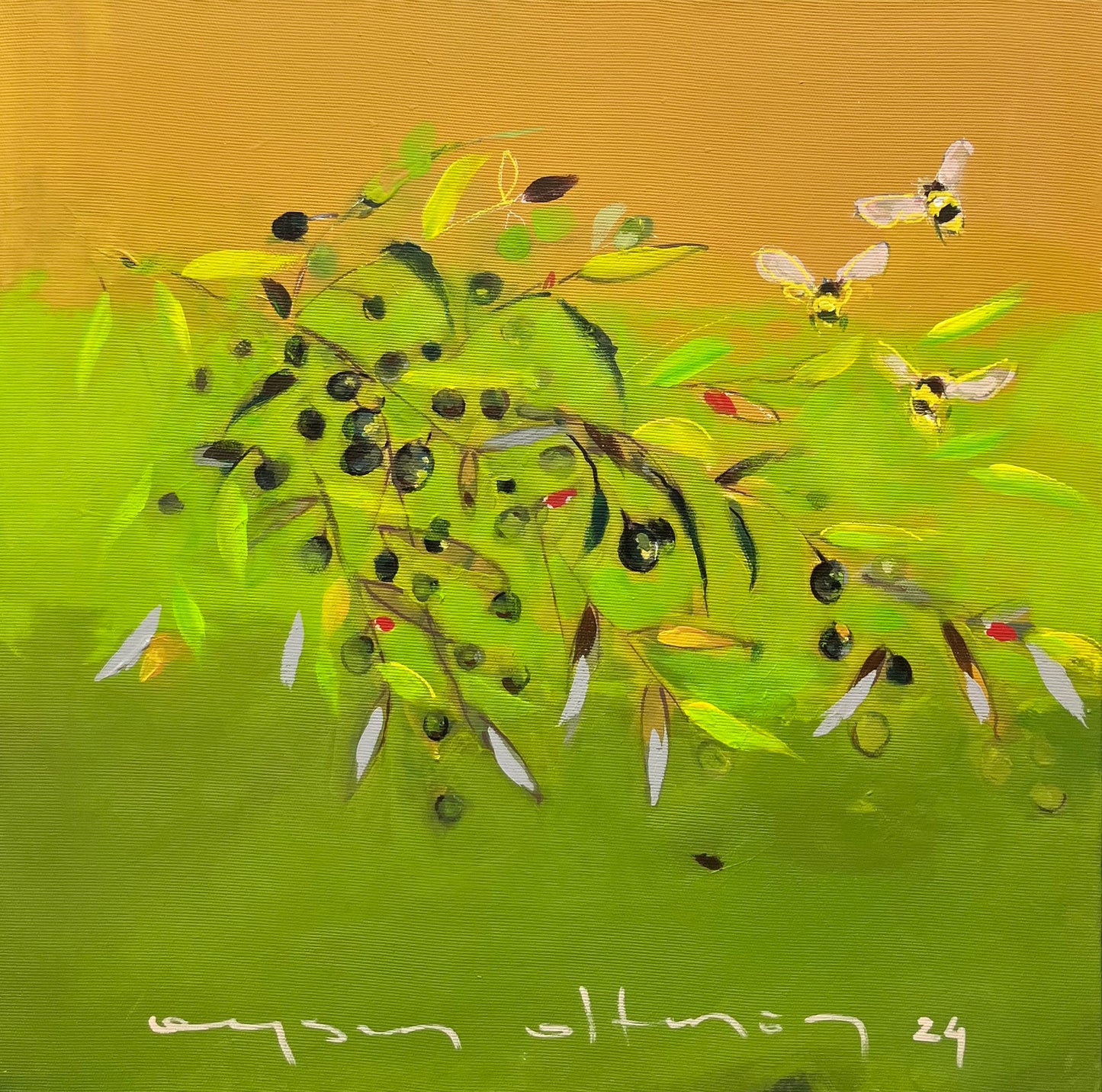 Zeytin Dalı