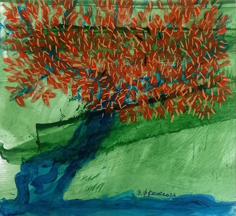 Zeytin AğacıM