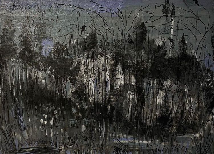 Gece Kuşu