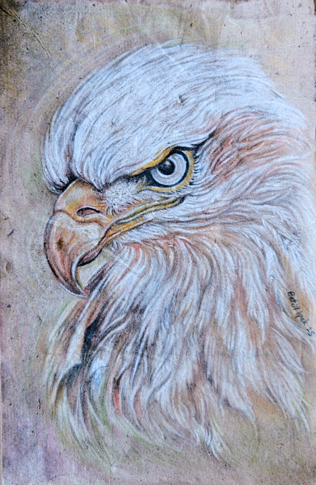 Kartal
