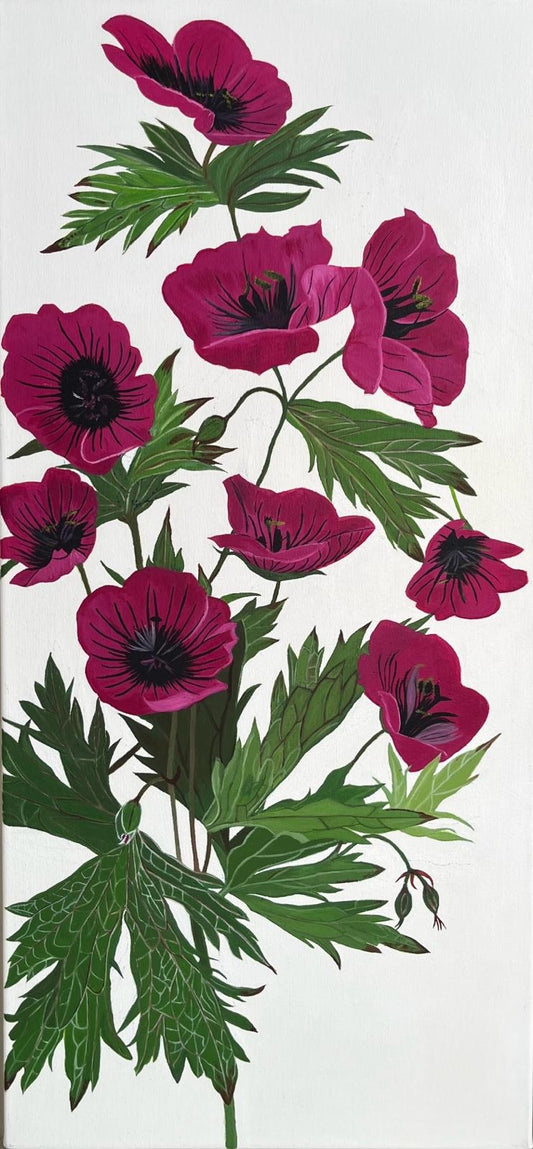 Geranium Psilostemon I