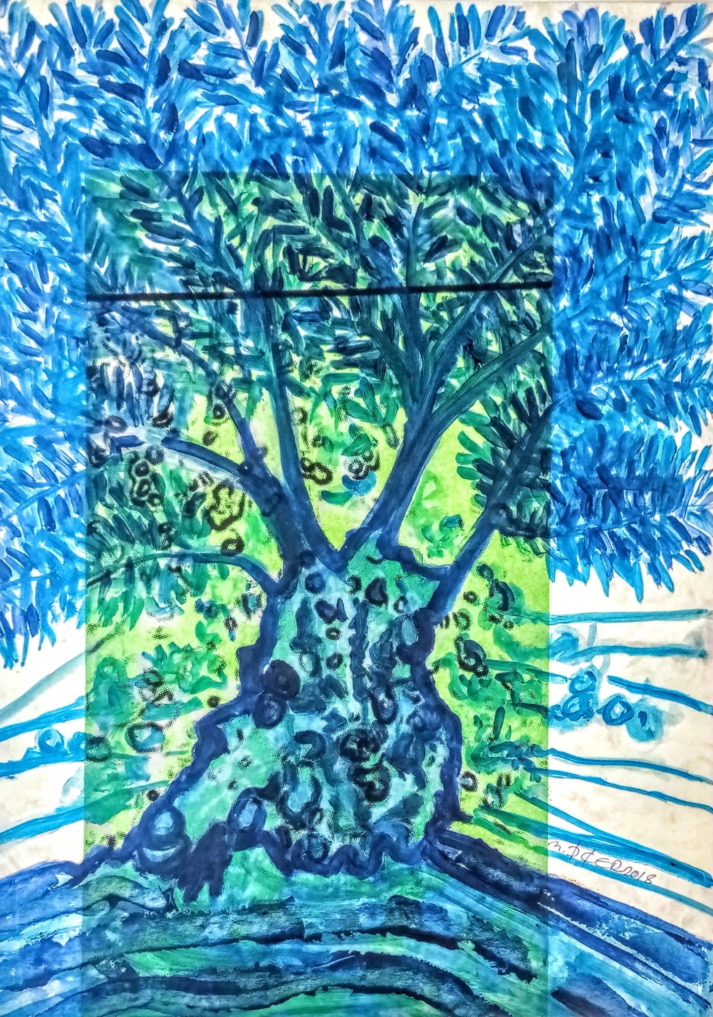 Zeytin AğacıM