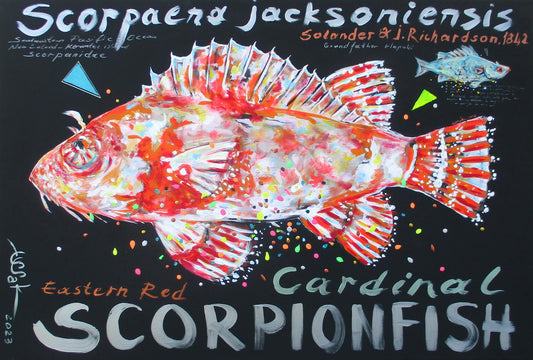 Scorpion Fish