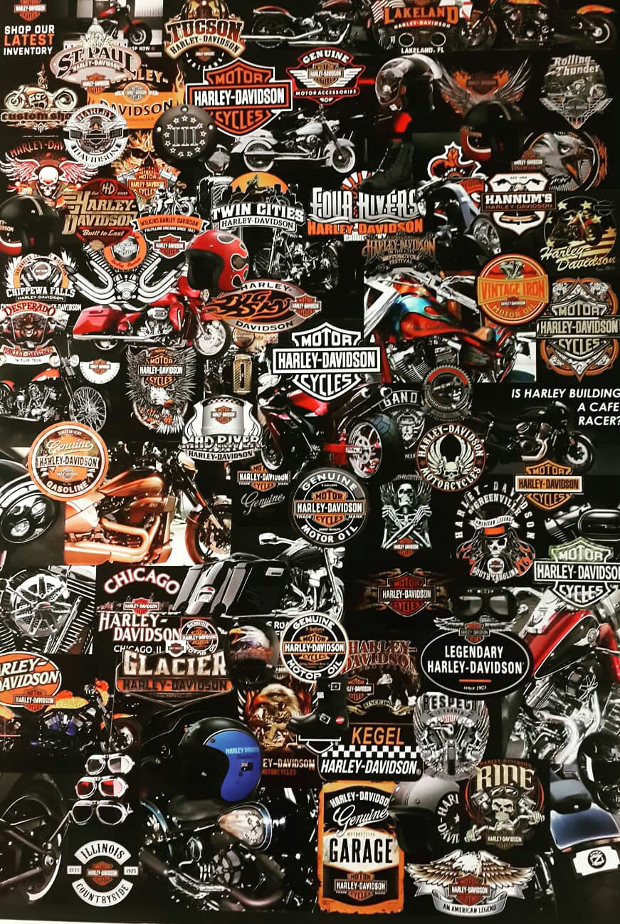 Harley-Davidson Dünyası