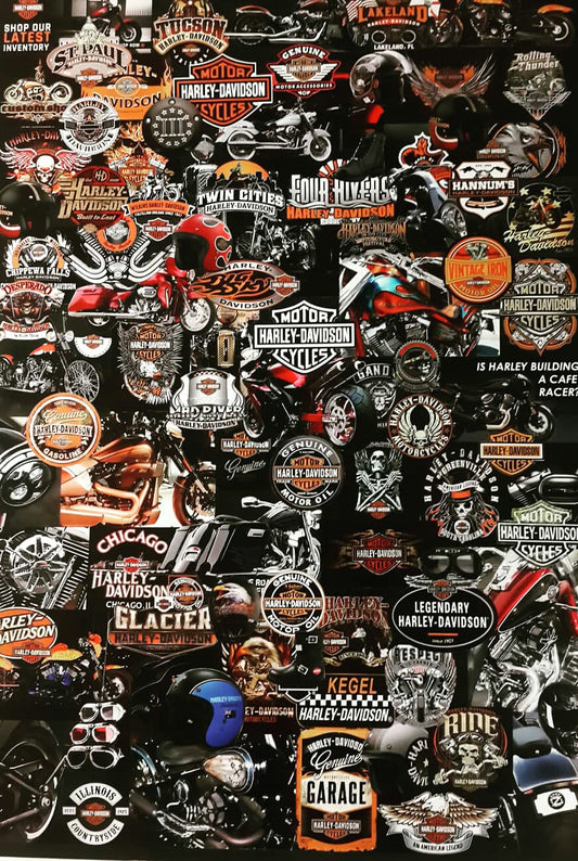 Harley-Davidson Dünyası