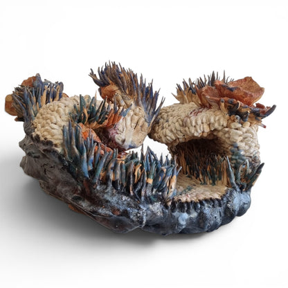 Coral Bloom