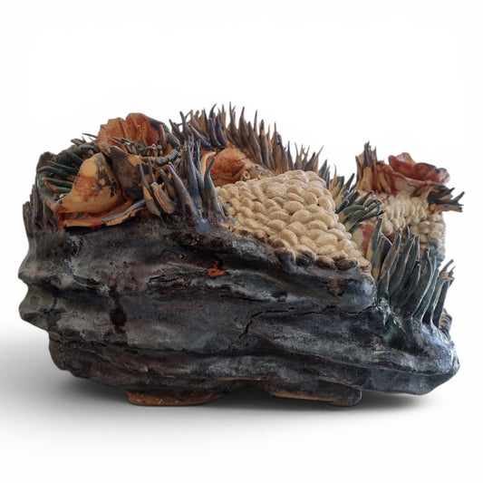 Coral Bloom