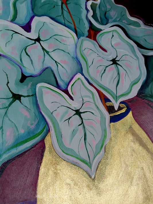 Saksı Bitkileri