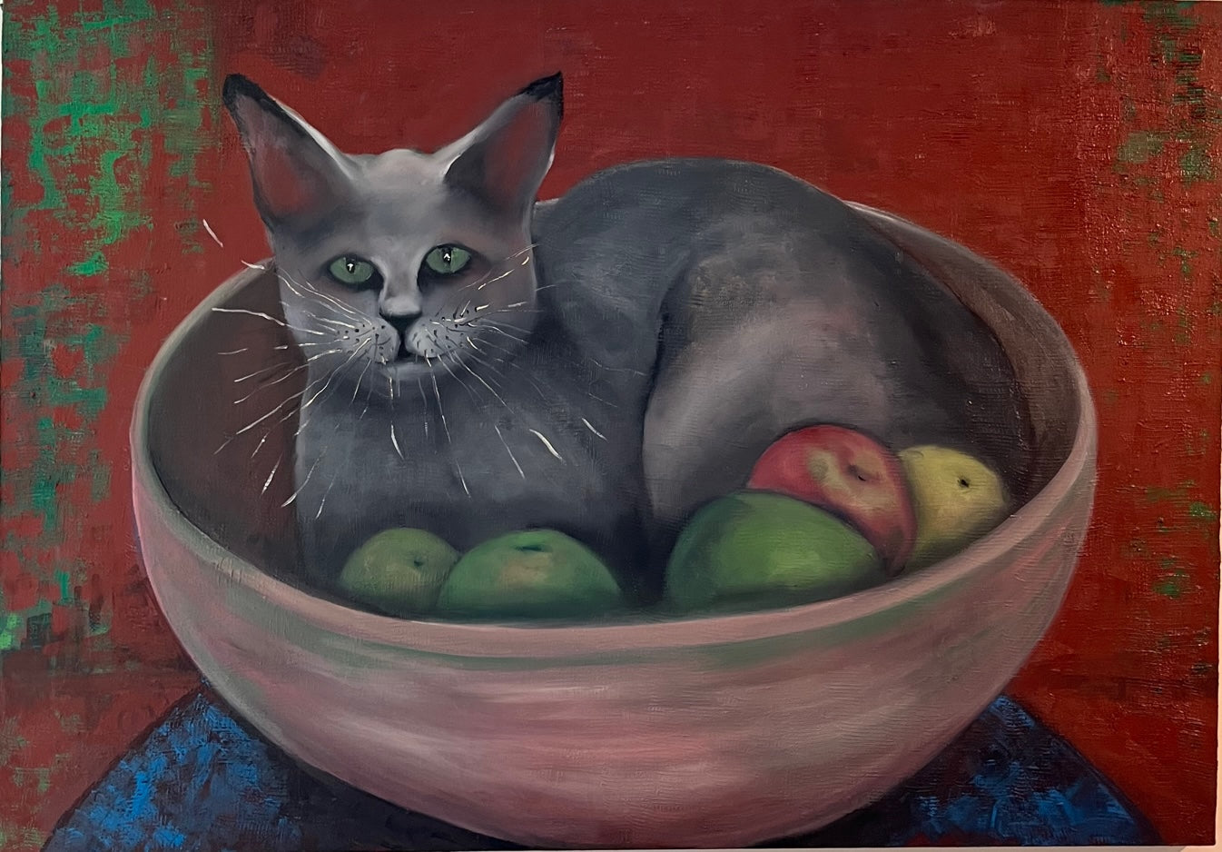 Cat in a bowl