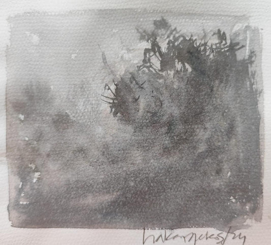Atmosphere 12