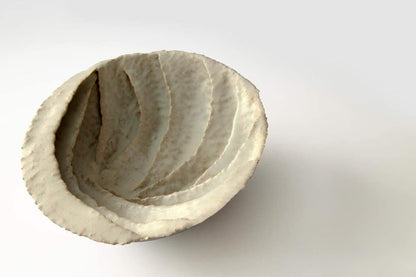 Circle Series XVI