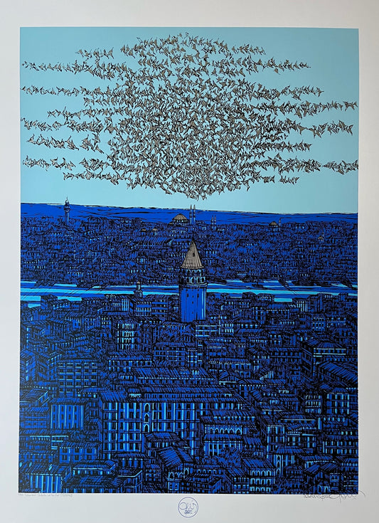 İstanbul Galata ve Kuşlar