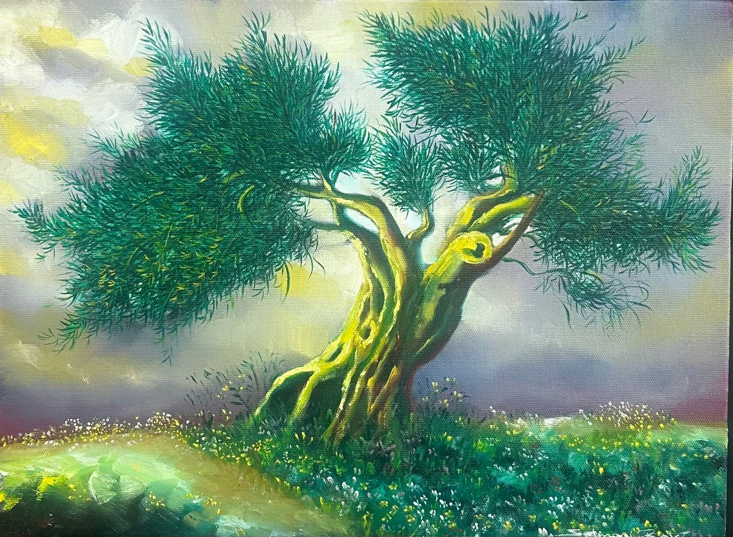 Zeytin Ağacı Serisi