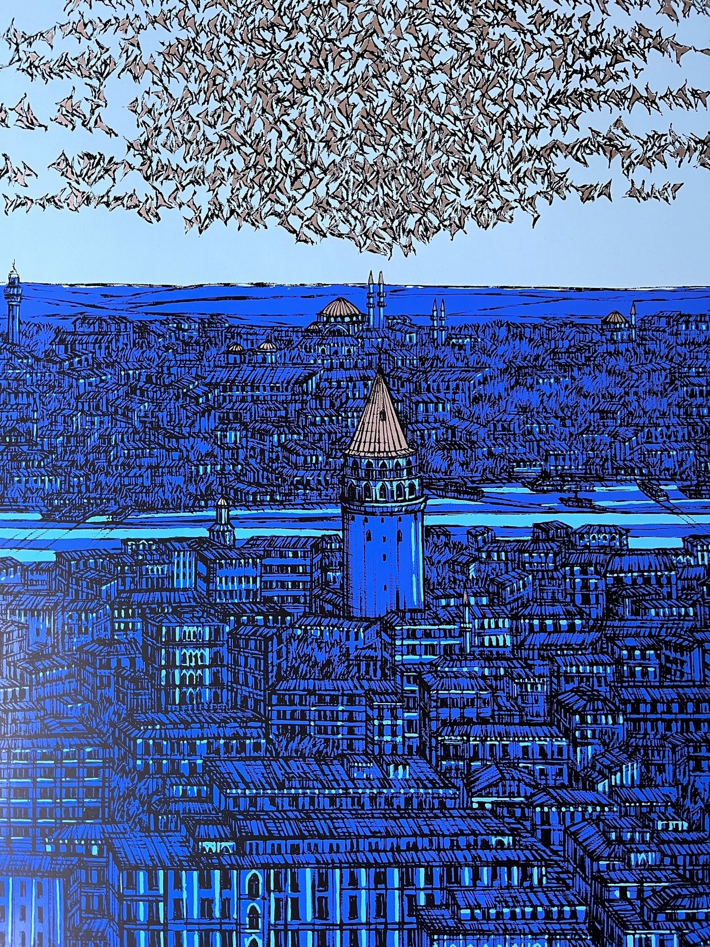 İstanbul Galata ve Kuşlar