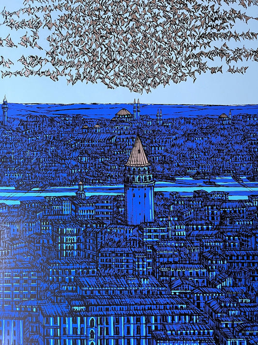 İstanbul Galata ve Kuşlar