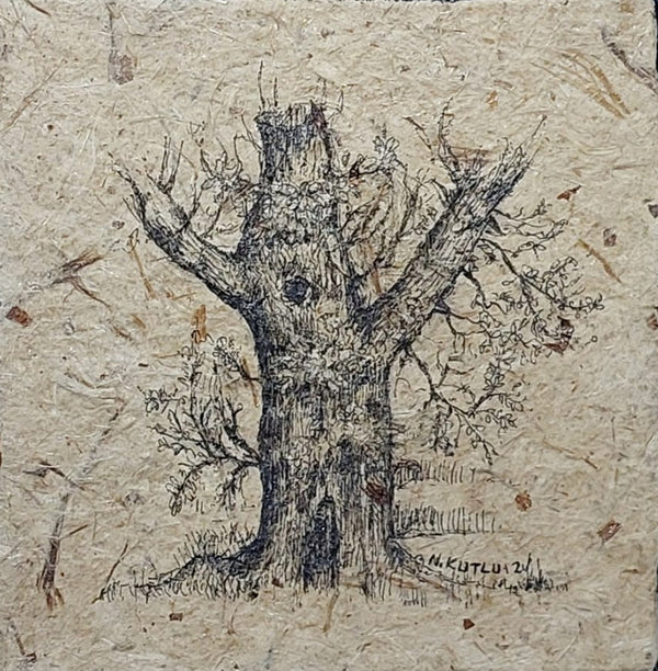 Nilgün Kutlu