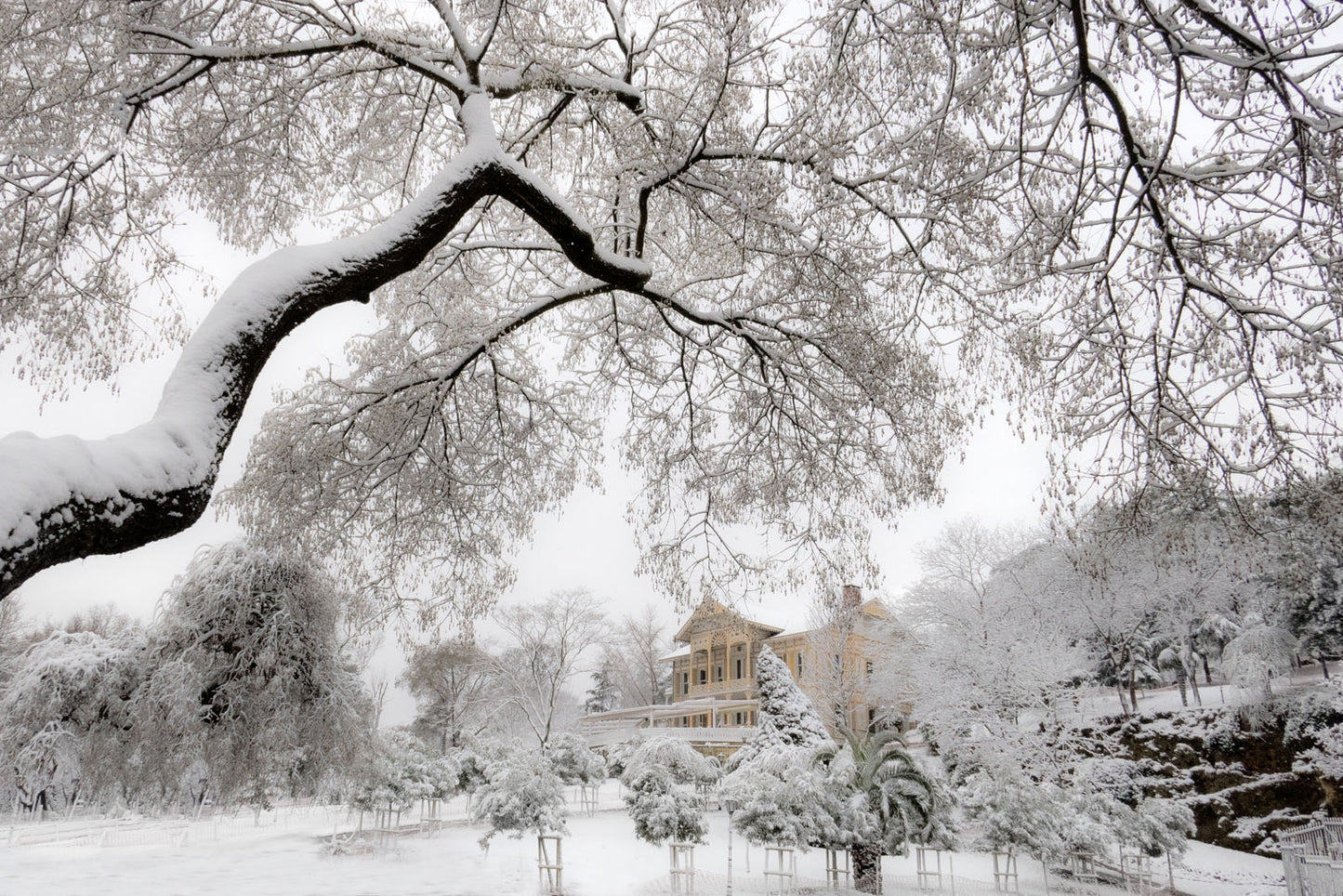 Emirgan Park - İstanbul I