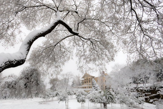 Emirgan Park - İstanbul I