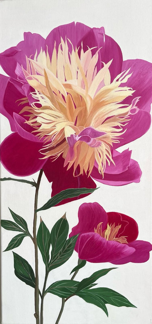 Geranium Psilostemon II