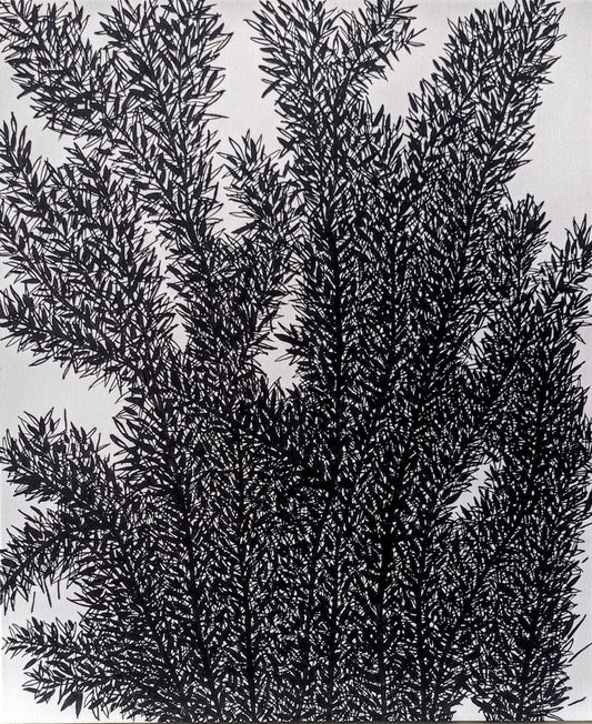 Zeytin AğacıM