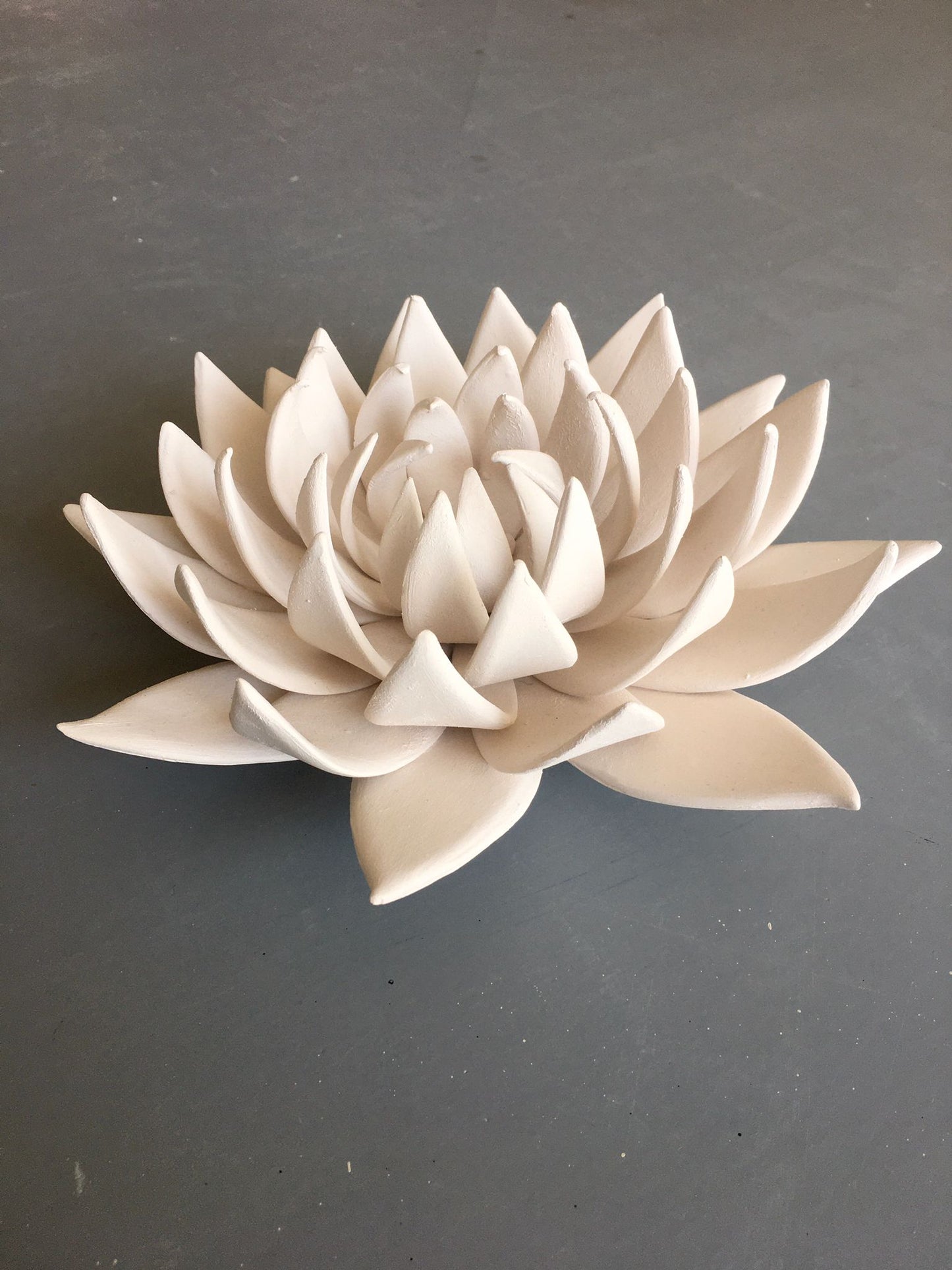 Lotus IV