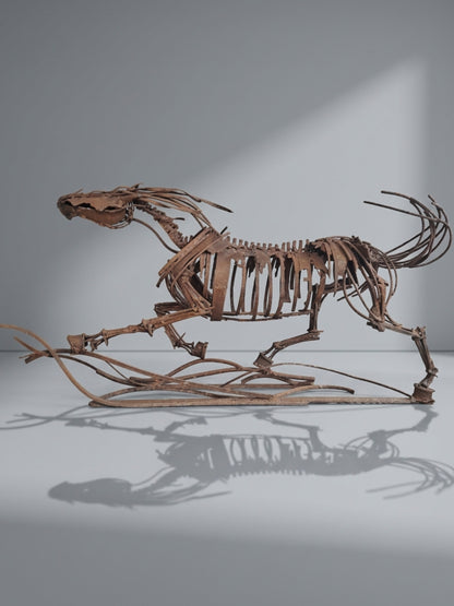 Özgürlüğün Anatomisi
