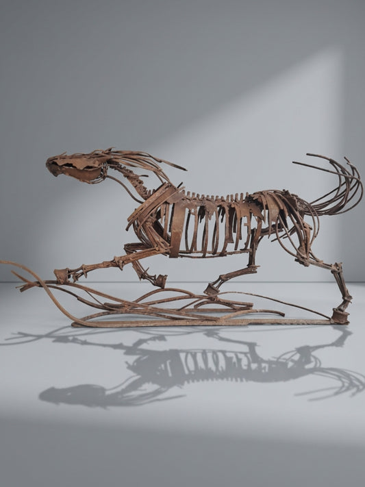 Özgürlüğün Anatomisi