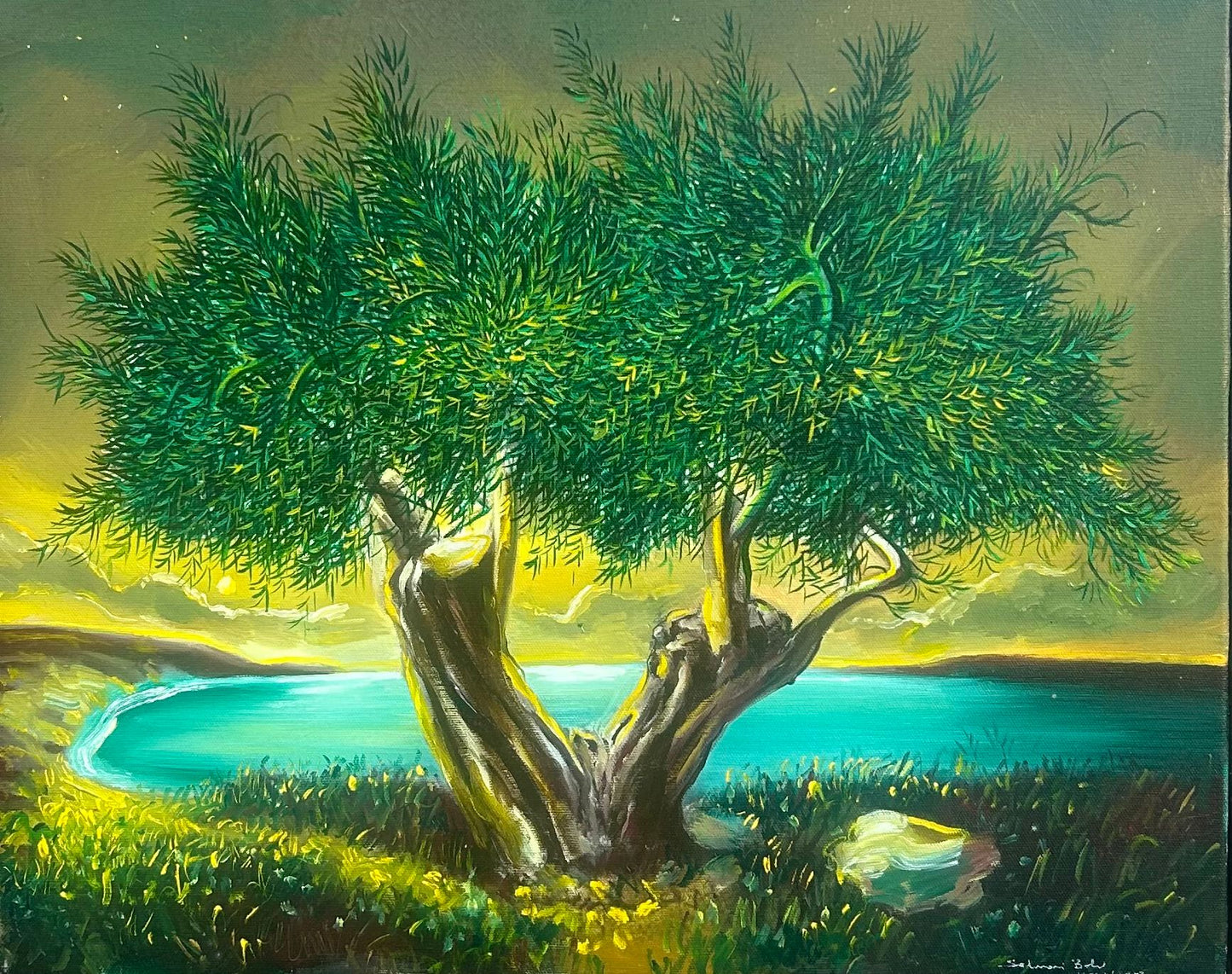 Zeytin Ağacı Serisi