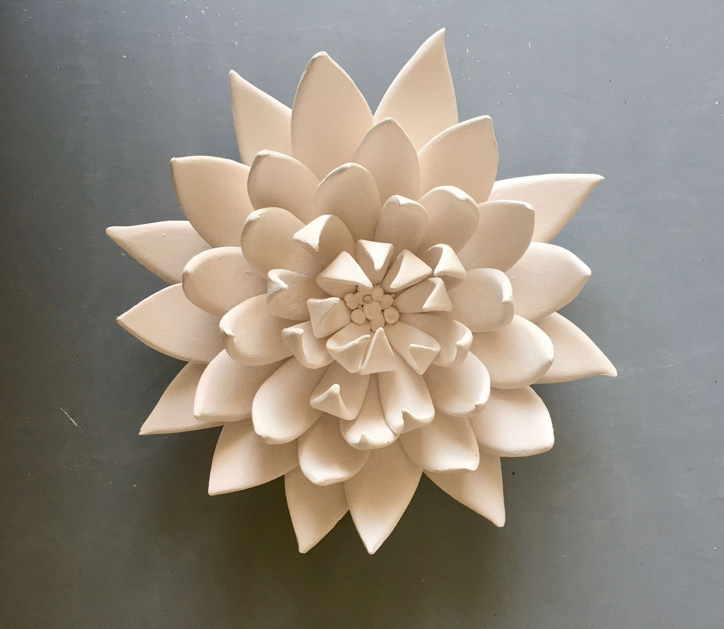 Lotus IV