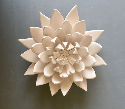 Lotus IV