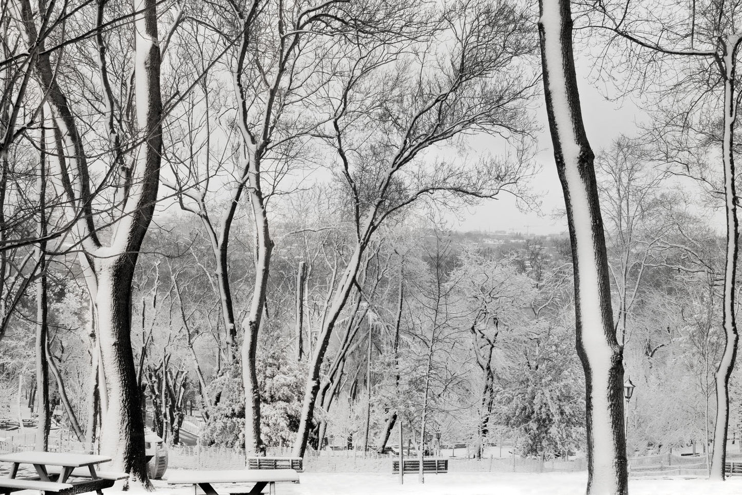 Emirgan Park - İstanbul II