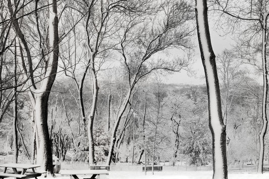 Emirgan Park - İstanbul II