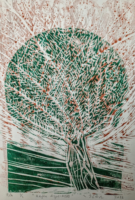 Zeytin AğacıM