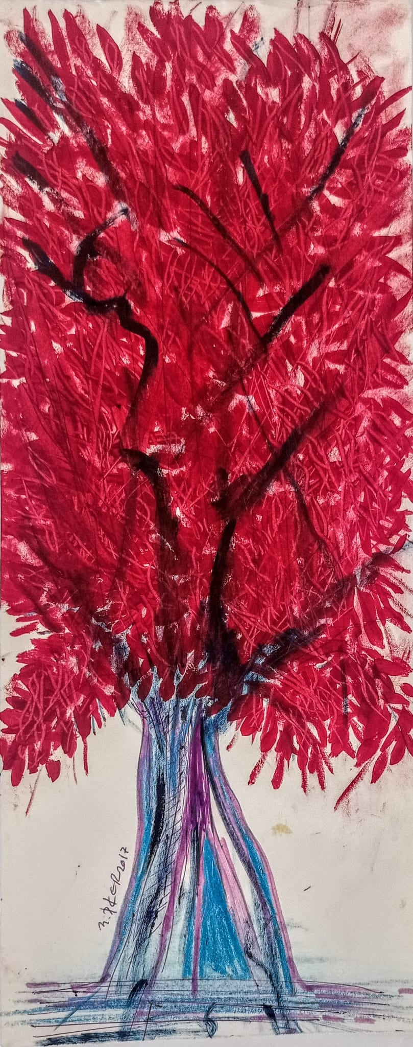 Zeytin AğacıM