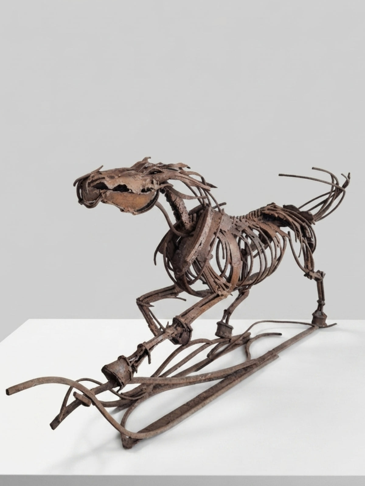 Özgürlüğün Anatomisi
