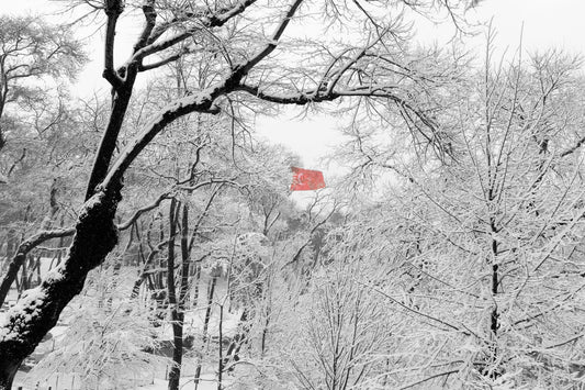 Emirgan Park - İstanbul III
