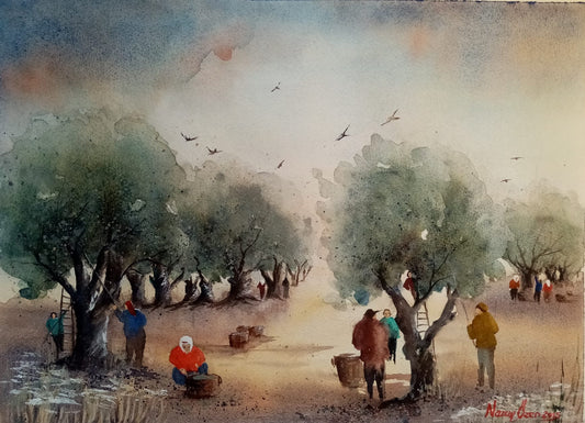 Kuzey Ege'de Zeytin Hasadı