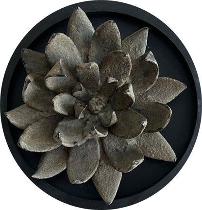 Lotus I