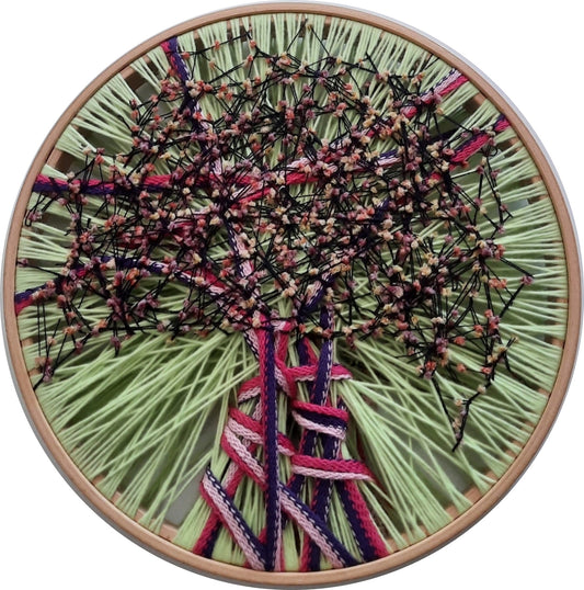 Zeytin AğacıM