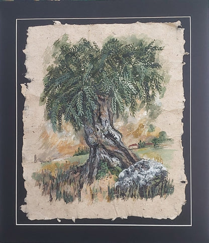 Zeytin Ağacı