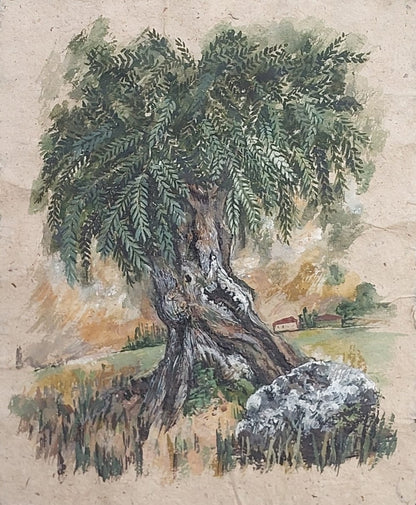 Zeytin Ağacı