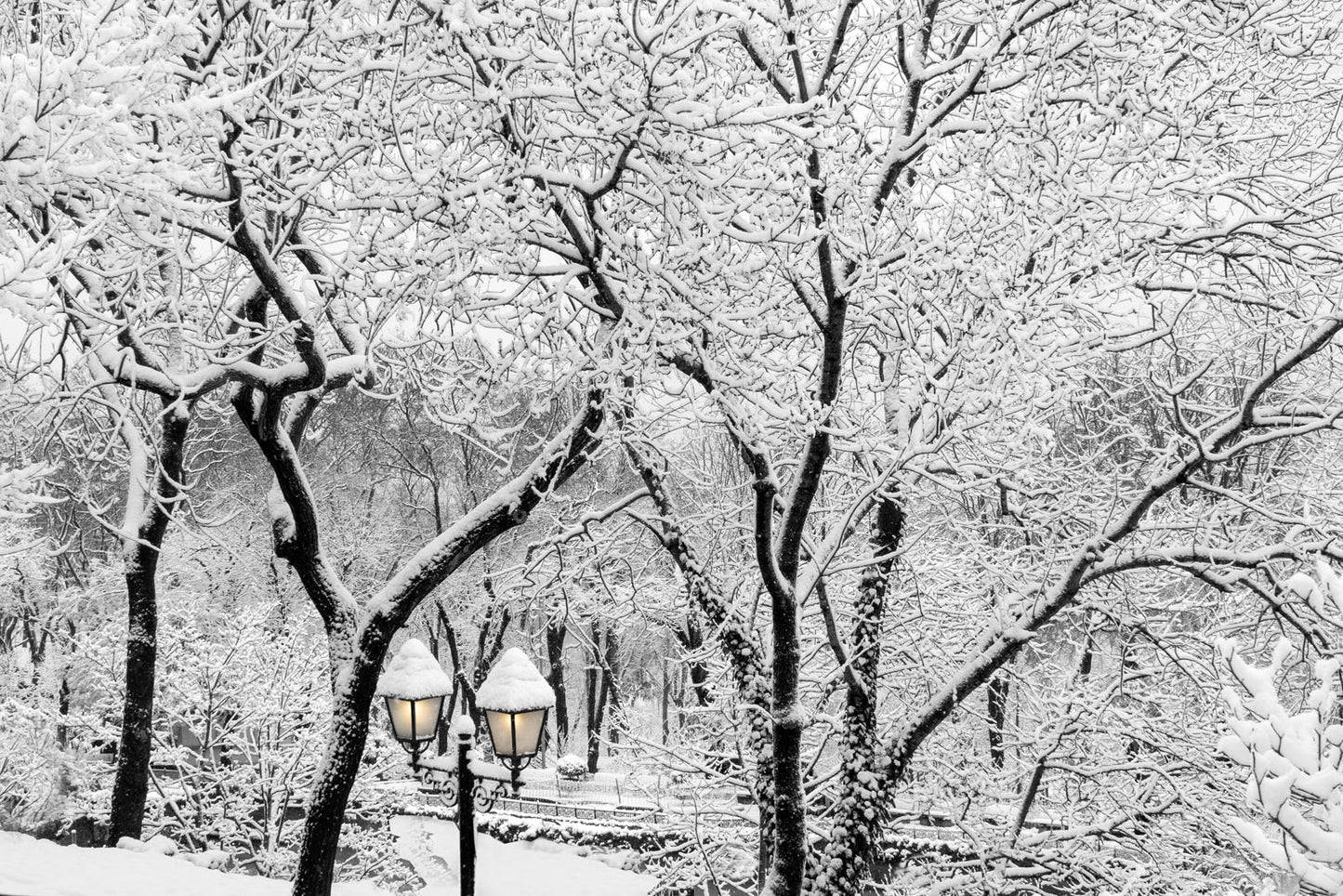 Emirgan Park - İstanbul IV